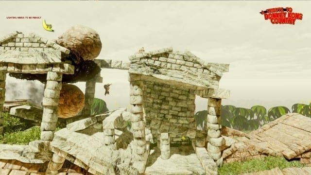 Donkey Kong Country