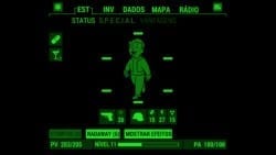 Pip-Boy Status