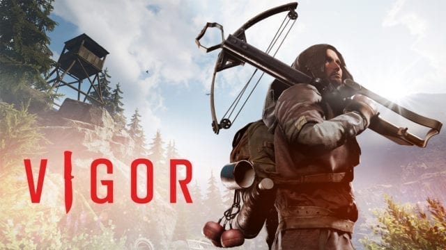 vigor-destaque