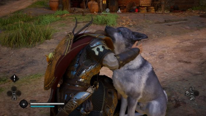 valhalla_cachorro