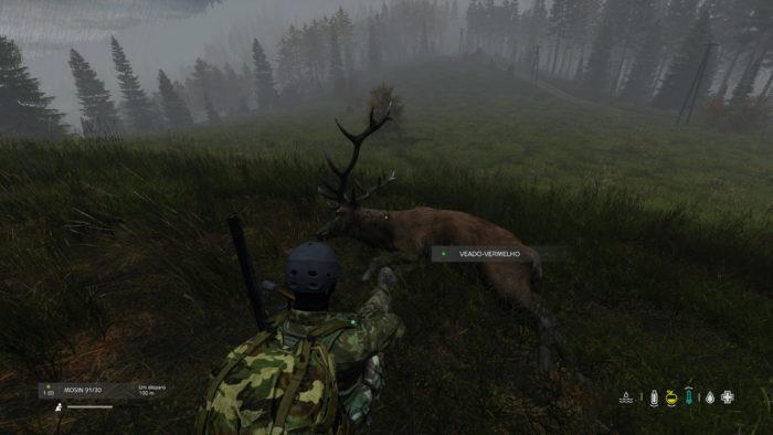 DayZ_caça