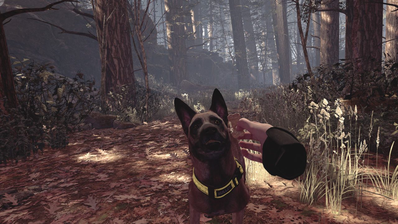 Cachorro Blair Witch VR