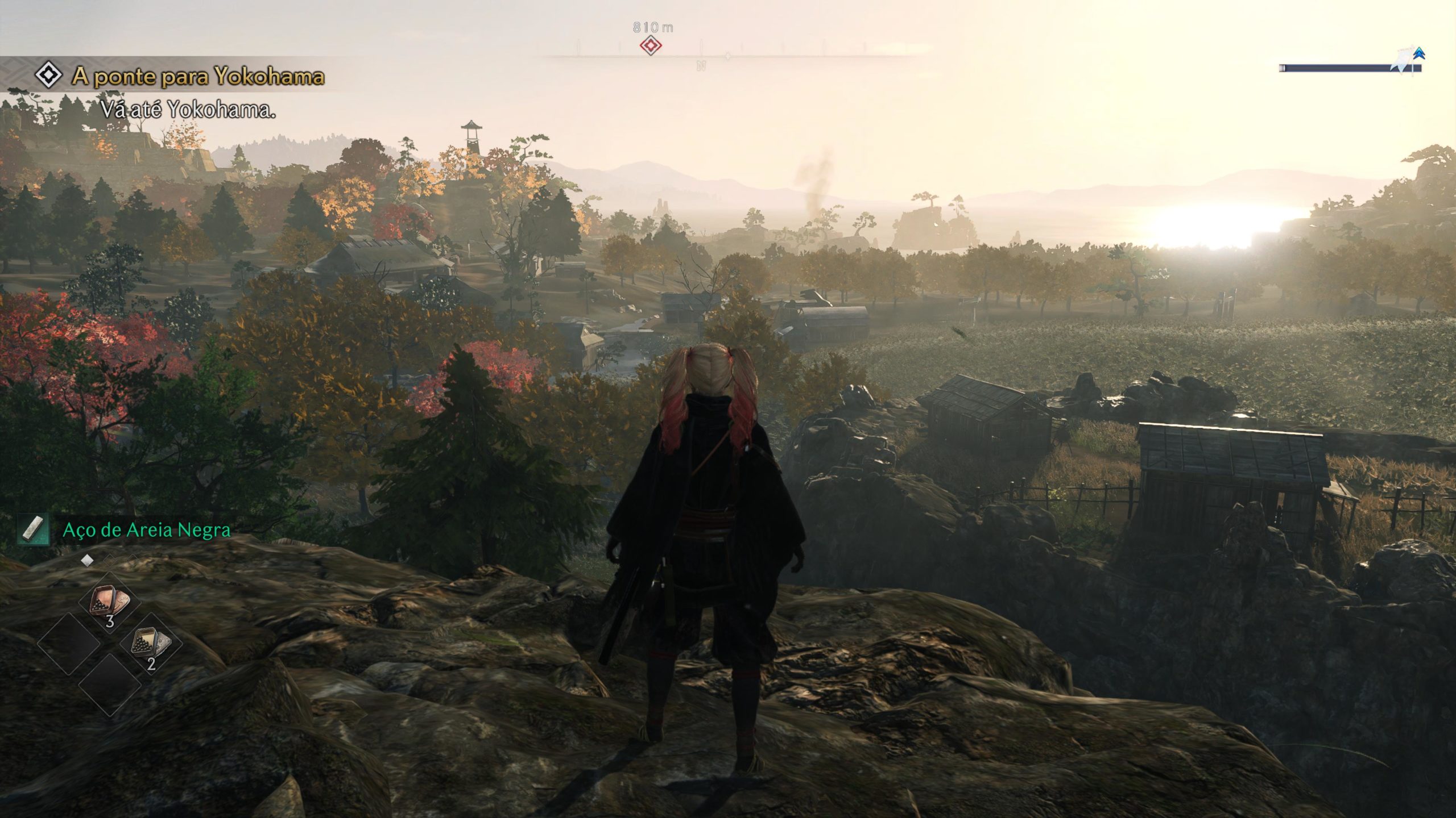 A Ascensão do Ronin